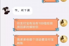 平罗为什么选择专业追讨公司来处理您的债务纠纷？